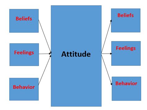 Attitude And Its Relation With Thought And Behaviour The Knowledge