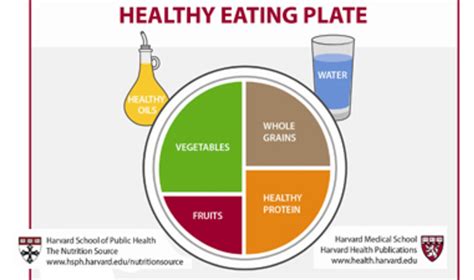 harvard s nutrition guide vegnews