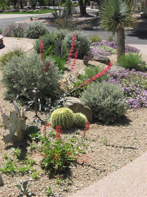 Landscape Design Tucson Az Sonoran Gardens Inc