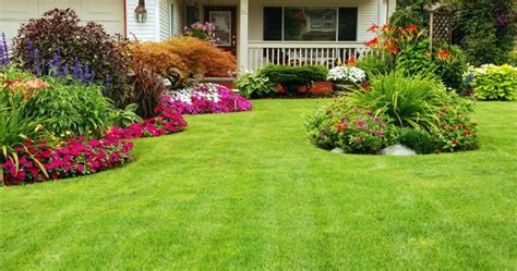 How To Make Your Front Yard Beautiful