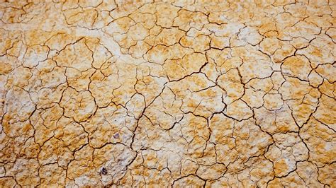 Free Images Texture Floor Dry Pattern Soil Crack Cracked