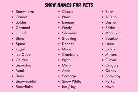 450 Awesome Snow Names For Dogs To Inspire Your Ideas 2024