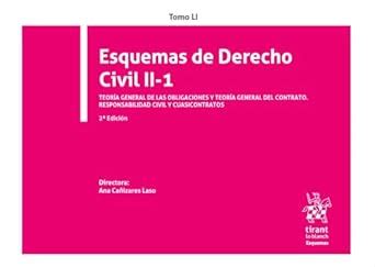 Tomo LI Esquemas de Derecho Civil II 1 2ª Edición Teoría general de las
