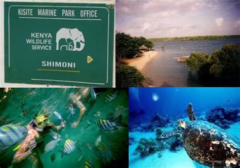 Marine Kenya Marine Parks And Reserves