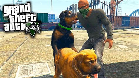 Gta 5 Funny Moments Chop Humps A Dog In First Person View 4k Youtube