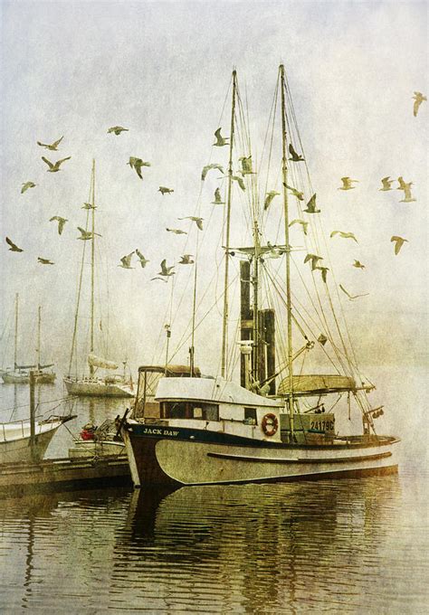 Flock Of Gulls And Boats In A Vancouver Island Harbor Photograph By