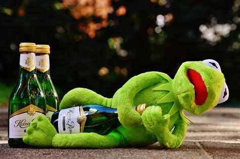 Free Images Wine Flower Green Drink Rest Frog Alcohol Fig Sit