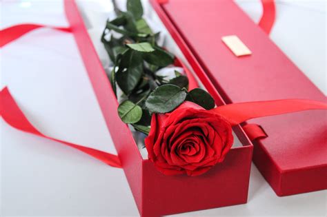 Forever Yours Xo Single Long Stem Rose Box Fleur House London 3