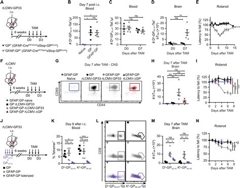 Tissue Resident Memory Cd8 T Cells Cooperate With Cd4 T Cells To
