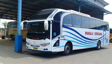 Daftar PO Bus Terlengkap & Harga Tiket Bus Dari Surabaya  Sanjaya Tour