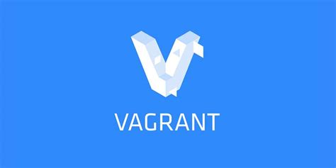 Hypernyms for the word vagrant. my techdirt: baby steps with vagrant on windows 10