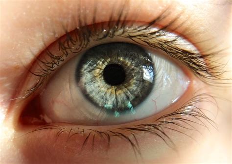 Eyedentity on Behance | Eye close up, Eye drawing, Drawing reference poses