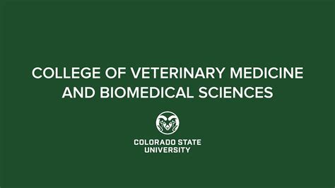 Spring 2021 Commencement Csu College Of Veterinary Medicine And