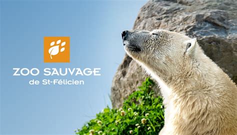 Zoo Sauvage De St Félicien Activities Saguenay Sheet