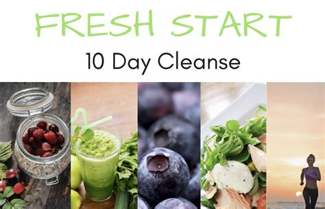 Fiorente Health And Spinal Flow 10 Day Cleanse
