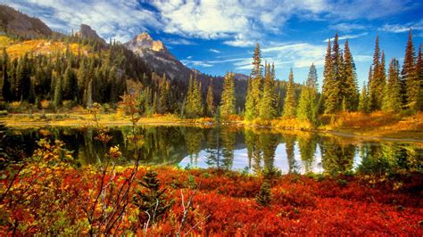 Wallpaper Nature Reflection Wilderness Leaf 4k Ultra Hd Background Download Free 3840x2160
