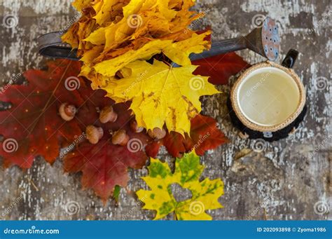 Autumn Still Life With Water Can In The Autumn Season Stock Photo