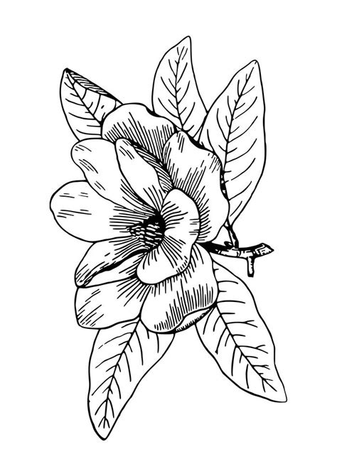 Desenho De Zentangle Flores E Folhas Para Colorir Tudodesenhos