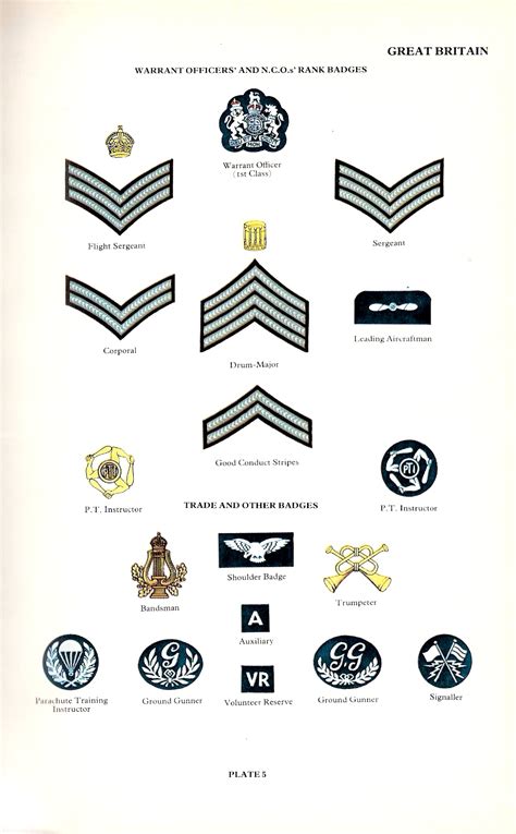 Ww2 Raf Ranks And Insignia Images And Photos Finder