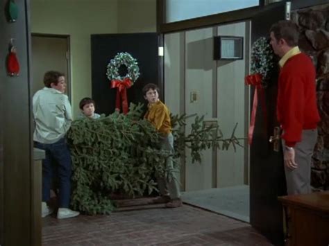 Brady Bunch Christmas The Brady Bunch Christmas Tv Shows Old Tv Shows