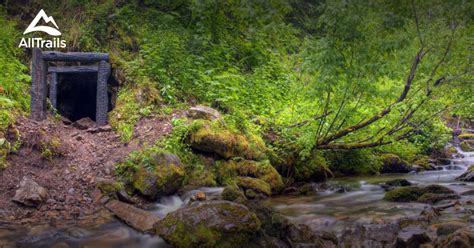 Best Trails In Idaho Panhandle National Forest Idaho Alltrails