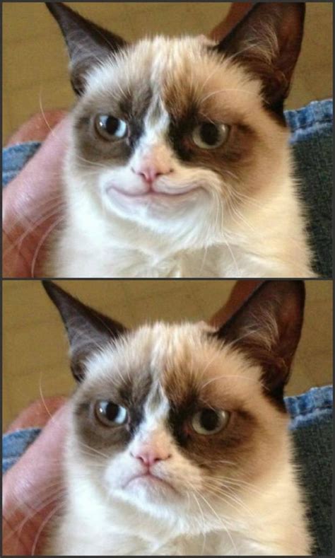 Happy Grumpy Cat Photoshop Blank Template Imgflip