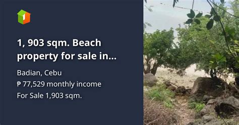1 903 Sqm Beach Property For Sale In Badian Cebu Beach Property 🏖️