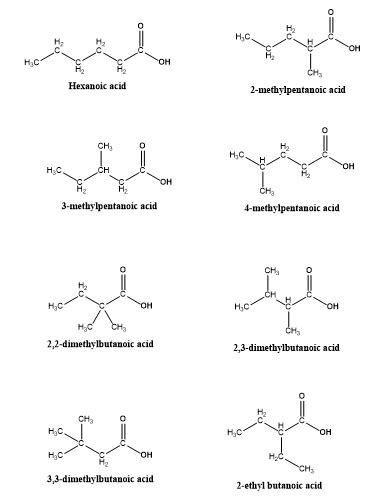 Draw And Name The Eight Carboxylic Acids With Formula C6h12o2