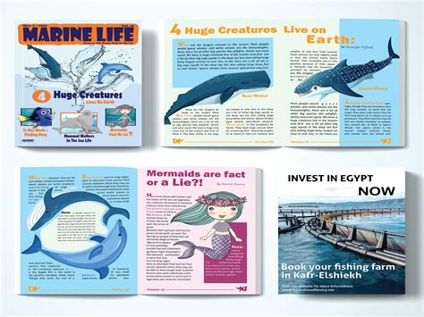 Marine Life Magazine On Behance