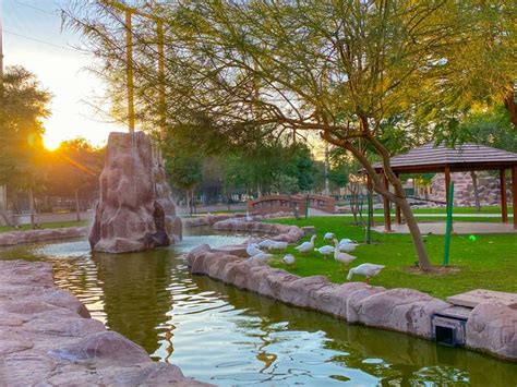 Everything you need to know about Al Khor Family Park in Qatar | Qatar ...
