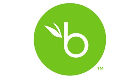 Bamboohr Logo And Symbol Meaning History Png Brand