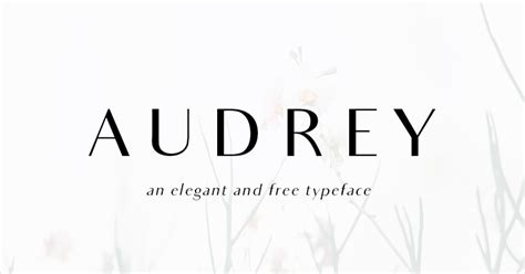 50 Best Free Elegant Fonts To Level Up Your Designs