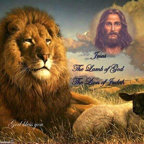 I ️jesus Jesus Lamb Pictures Of Jesus Christ Lion Of Judah