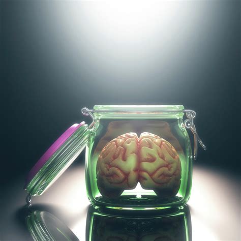 Human Brain In Glass Jar With Lid Open Photograph By Ktsdesignscience