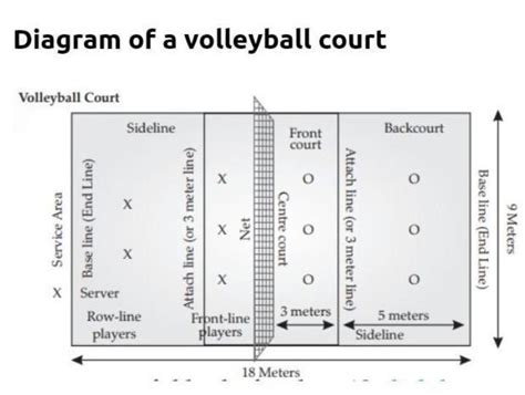 Volleyball Court Labelled Diagram