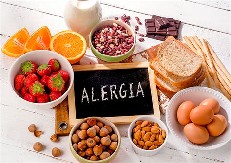 Intoler Ncia E Alergias Alimentares Como Identificar Magscan