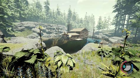 The Forest Best Base Locations Ready Games Survive