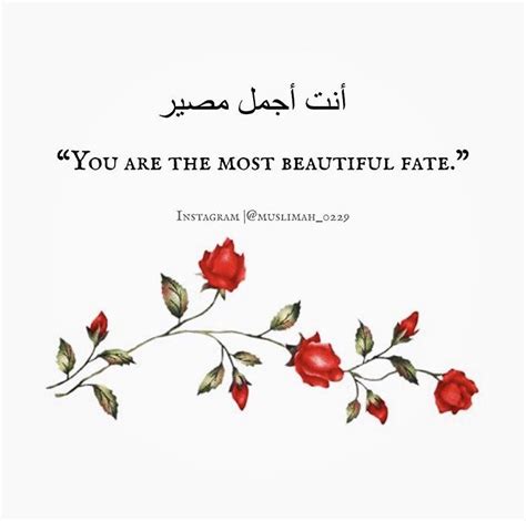 Pin On Arabic Quotes