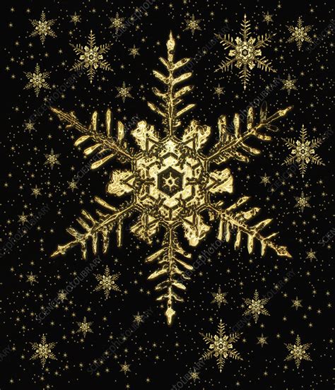 Snowflakes Stock Image E1270351 Science Photo Library
