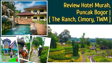 Review Hotel Murah Puncak Dekat The Ranch Cimory Dan Taman Wisata