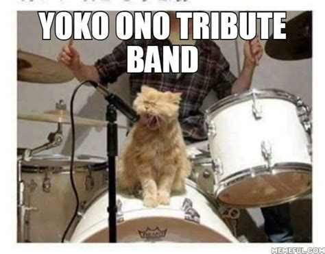 Yoko Ono Need I Say More Ja Cat Memes Cats Cat Pics