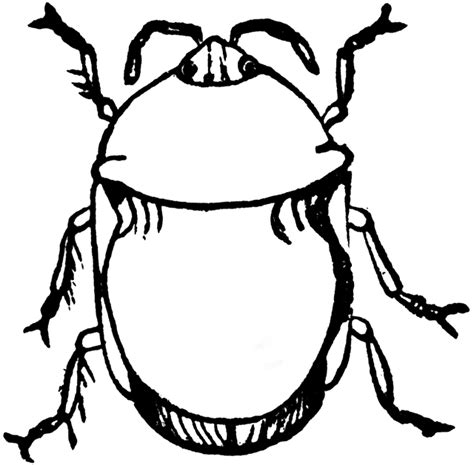 Download grasshopper images and photos. Black Bug | ClipArt ETC