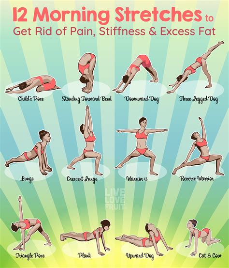 22 Stretching Exercises Infographics For Better Flexibility