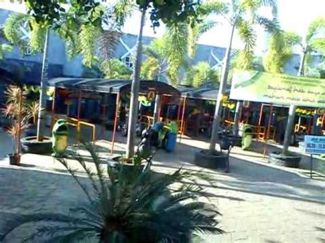 Wisata bahari tlocor, tempat ini merupakan wisata alam dengan pemandangan hamparan pohon bakau di sisi kanan dan kiri sungai. Lokasi pembelian tiket/karcis di wisata bahari lamongan - YouTube