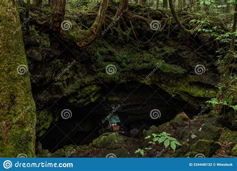 Beautiful View Of A Cave In The Woods With Greenery And Trees Stock