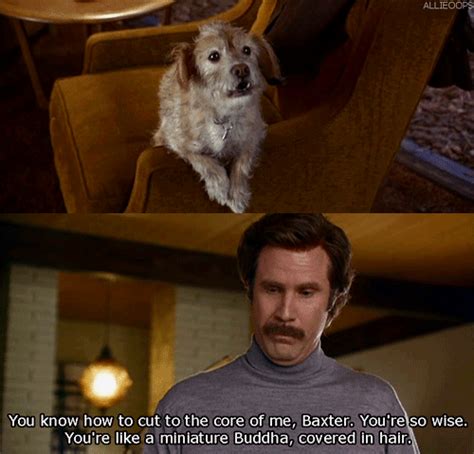 Pin By Tayte Valentine On Funny Anchorman Anchorman Quotes Funny