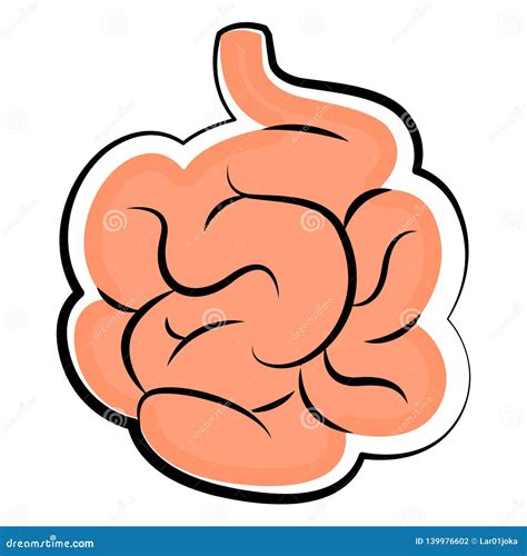 Human Small Intestine Colored Sketch Stock Vector Illustration Of