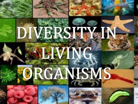 Diversity In Living Organisms Lessons Blendspace