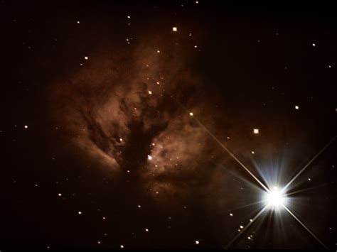 Flame Nebula Ngc 2024 Rastrophotography