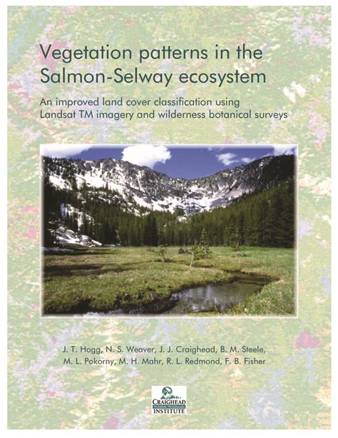 Vegetation Patterns In The Salmon Selway Ecosystem An Improved Land